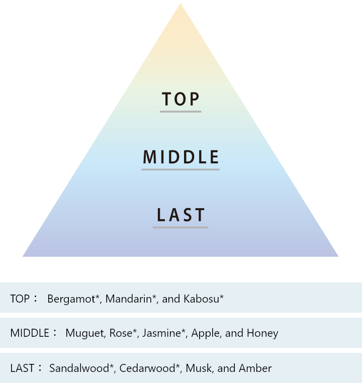 TOP MIDDLE LAST