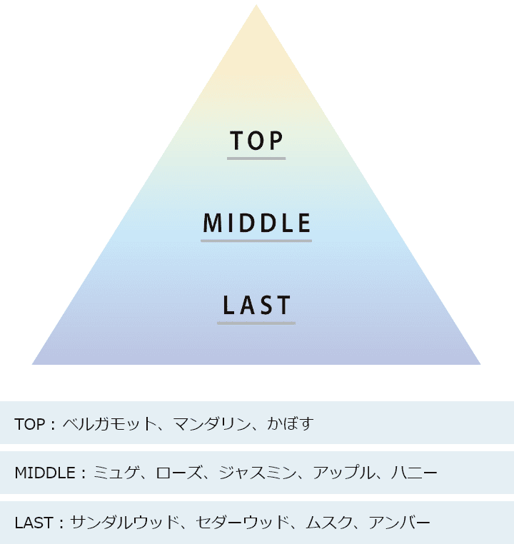TOP MIDDLE LAST