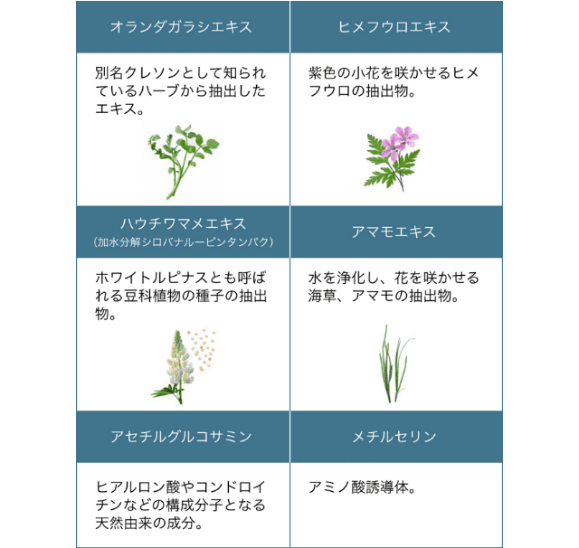 AQUFONS コンプレックスの配合成分:オランダガラシエキス、ヒメフウロエキス、ハウチワマメエキス(加水分解シロバナルーピンタンパク)、アマモエキス、アセチルグルコサミン、メチルセリン