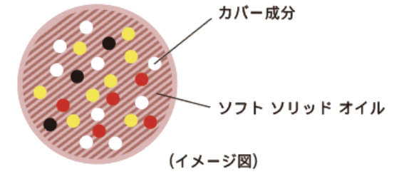ソフト ソリッド カプセル テクノロジー イメージ図