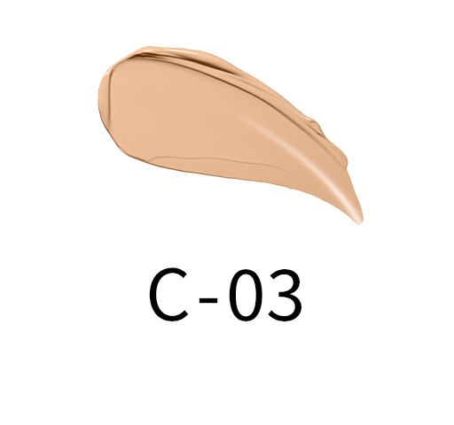 C-03