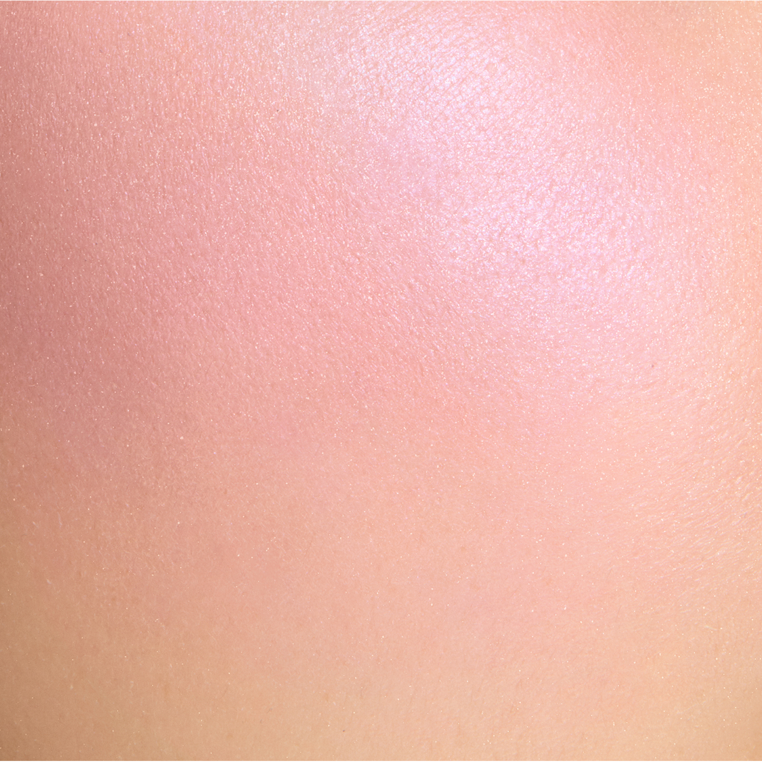 ブラーリング カラー ブラッシュ (2025 ウィンター カラー コレクション) 113 冬織 -FUYUORI 詳細画像 3枚中3枚目