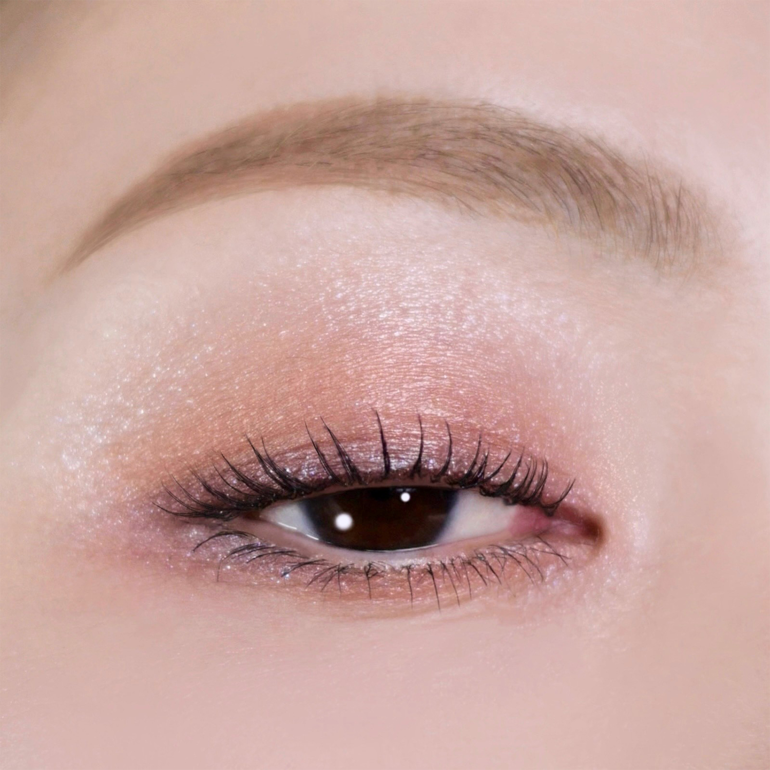 シグニチャー カラー アイズ (2026 サマー コレクション) 155 藤二藍 -FUJIFUTAAI 詳細画像 5枚中3枚目