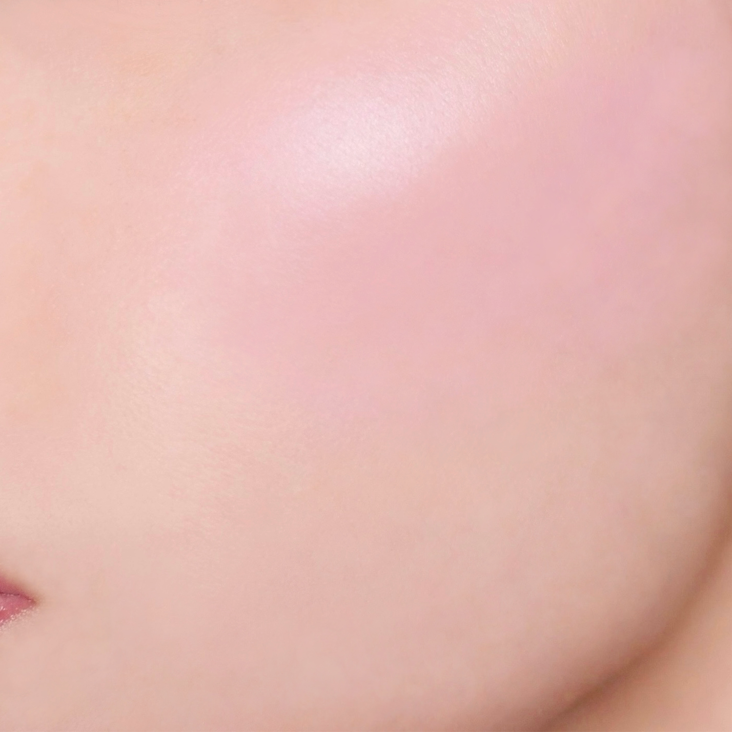 ブラーリング カラー ブラッシュ (2026 サマー コレクション) 117 淡宵葵 -AWAYOIAOI 詳細画像 3枚中3枚目