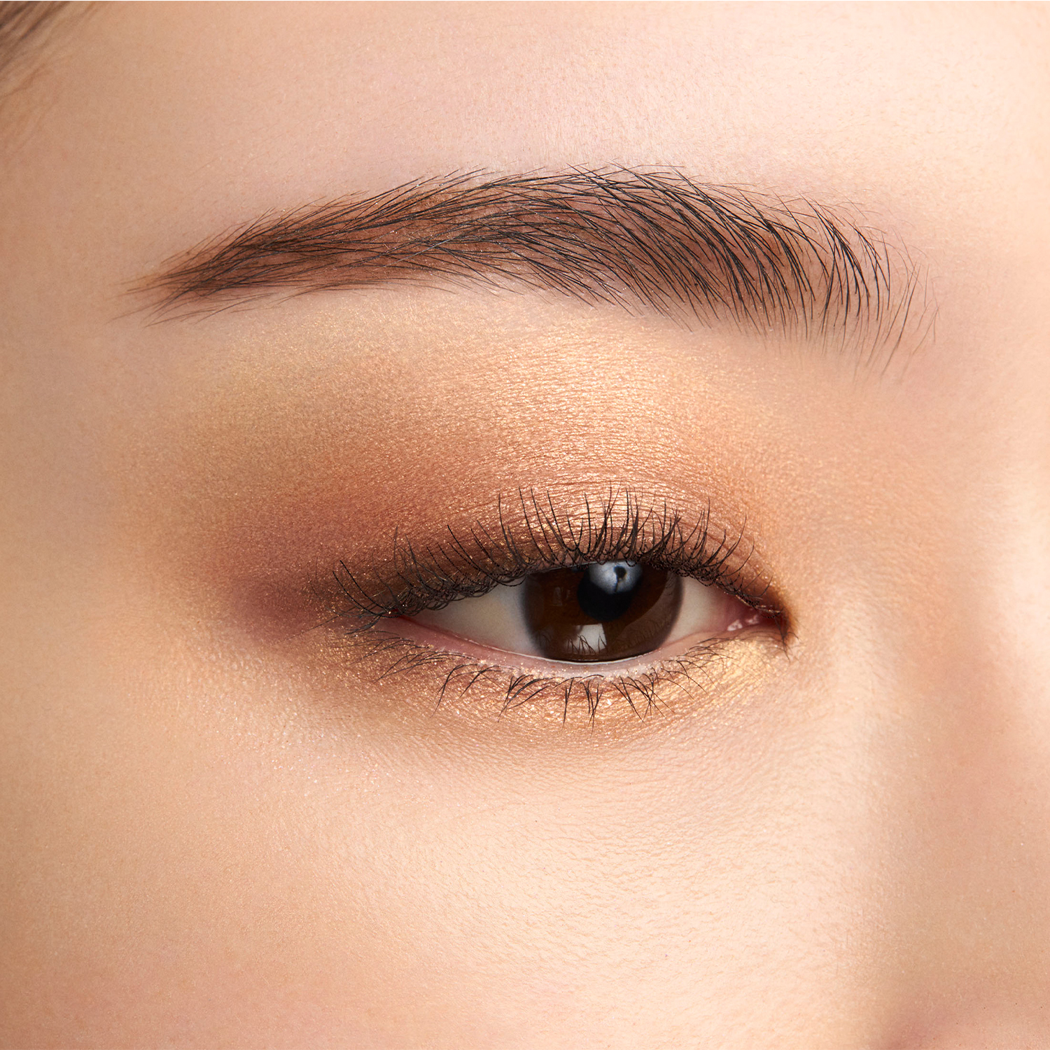 シグニチャー カラー アイズ 14 夕琥箔 -YUUKOHAKU 詳細画像 4枚中3枚目