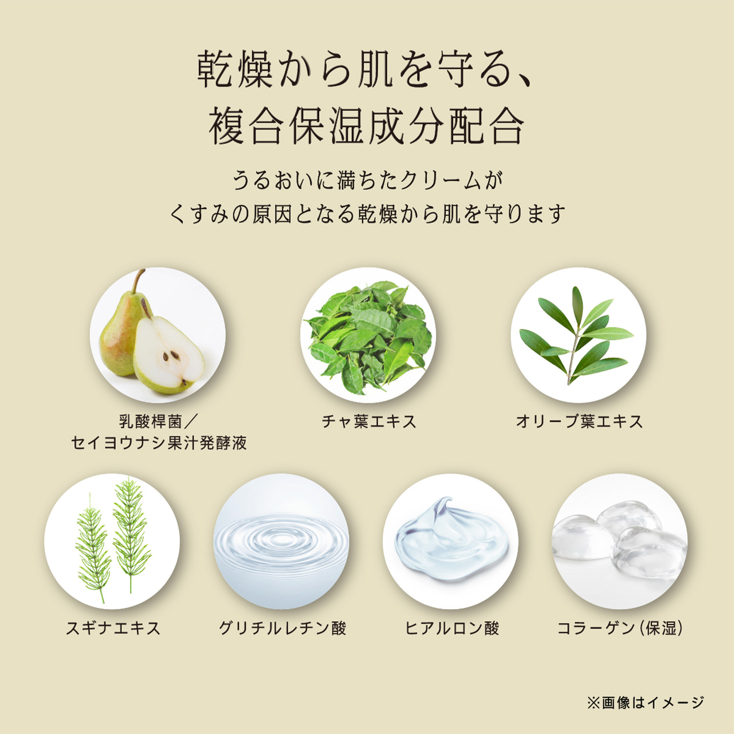 プロテクティング デイ クリーム 詳細画像 4枚中4枚目