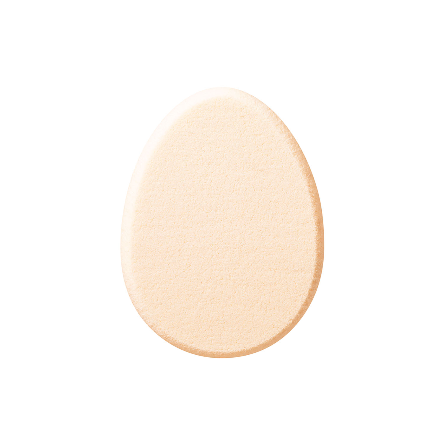 FOUNDATION SPONGE N (with a case) image 1 of 1
