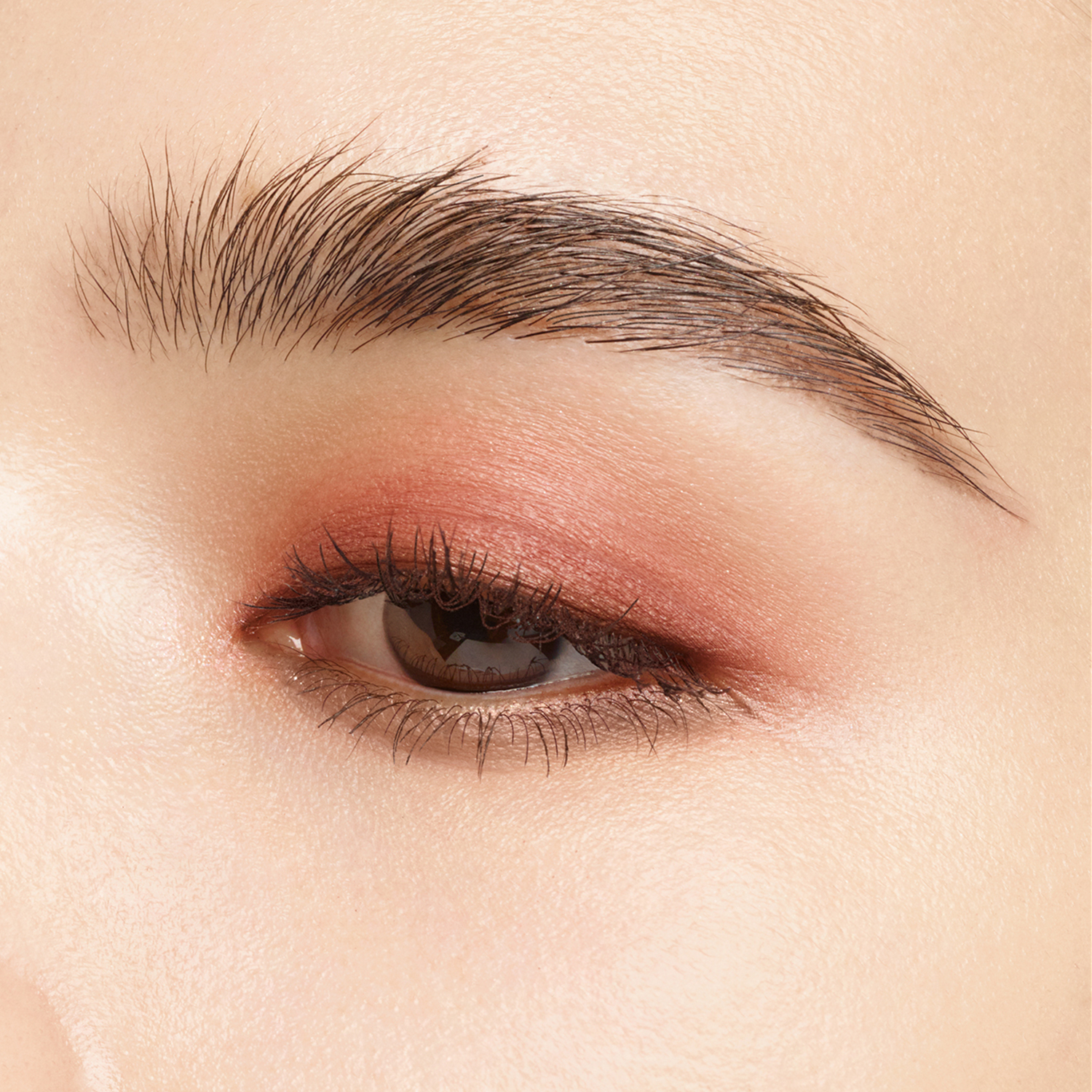 シグニチャー カラー アイズ 01 瑞花 -MIZUHANA 詳細画像 6枚中2枚目